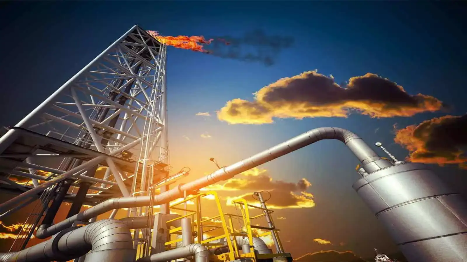 Scientists Urge Caution on Biofuels at COP30