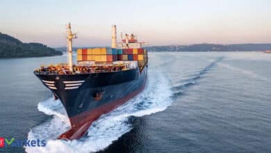 Shipping Corporation declares Rs 3 per share dividend, sets