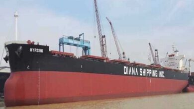 Diana Shipping adds another period fixture to bulker slate