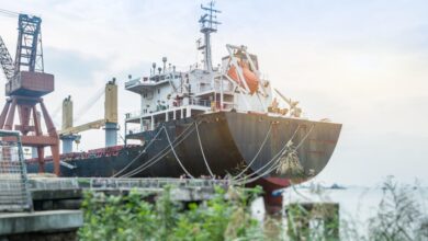 Govt notifies guidelines for ₹44,700 crore twin shipbuilding initiatives