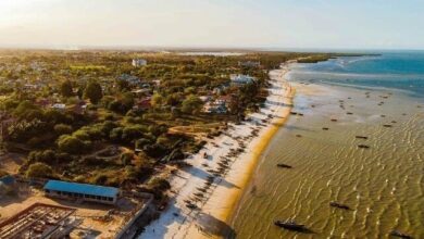 MSC Strikes Deal for Construction of Bagamoyo Port in Tanzania