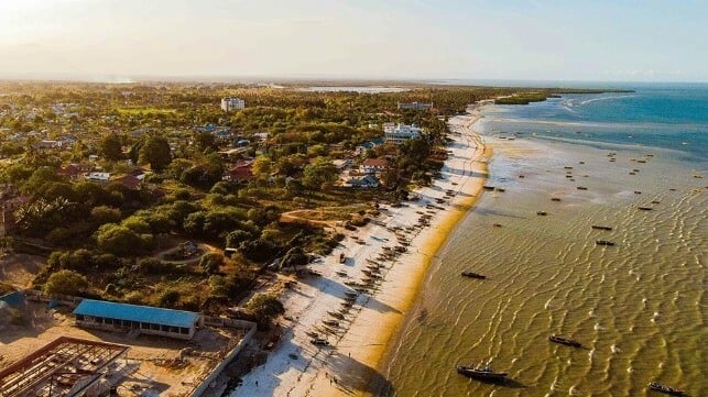 MSC Strikes Deal for Construction of Bagamoyo Port in Tanzania