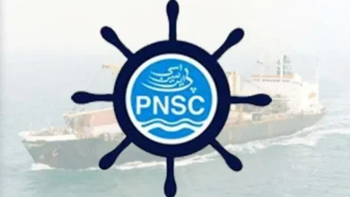 Pakistan National Shipping Corporation: performance and