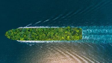 Propelling Progress at Sea | Dry Bulk