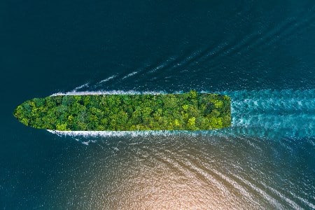 Propelling Progress at Sea | Dry Bulk