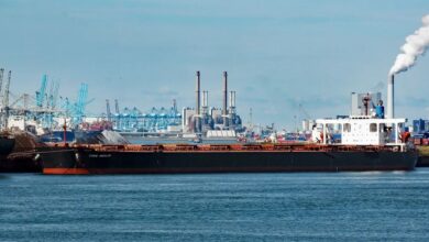 Zodiac times newcastlemax sale as buyers stay active across