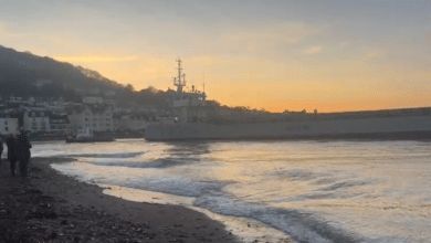 Massive cargo ship runs aground in Devon