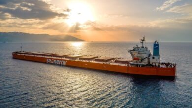 Bulkers ride China’s bauxite surge