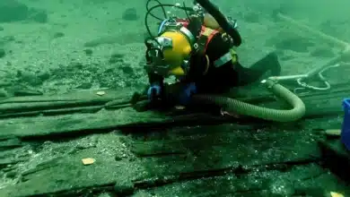 Archaeology breakthrough as colossal ancient ship unearthed after 600 years and