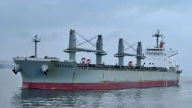 Nickel ore feared culprit again in K Line ultramax disaster