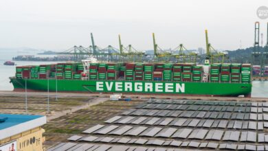 20,000 TEU container ship berthed at Keppel Terminal delights shipping