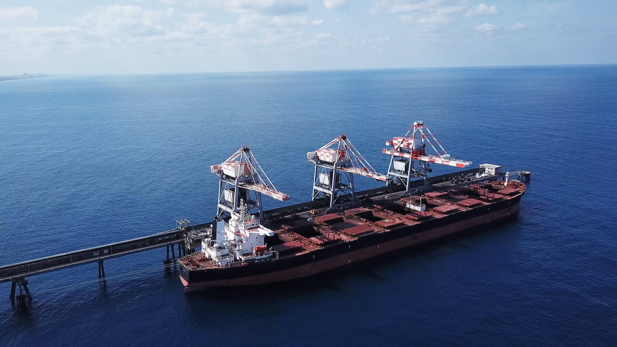 Dry Bulk Carrier Earnings Decline in 2025