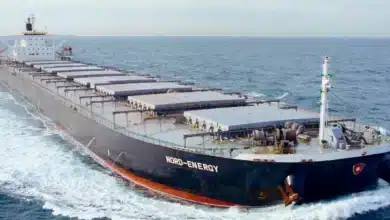 Dry Bulk Carrier Earnings Projected to Lag in 2025