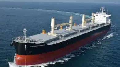 Dry Bulk Shipping Rates Surge to New Highs