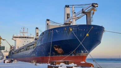 ESL plugs bulker capacity gap with secondhand buy ahead of