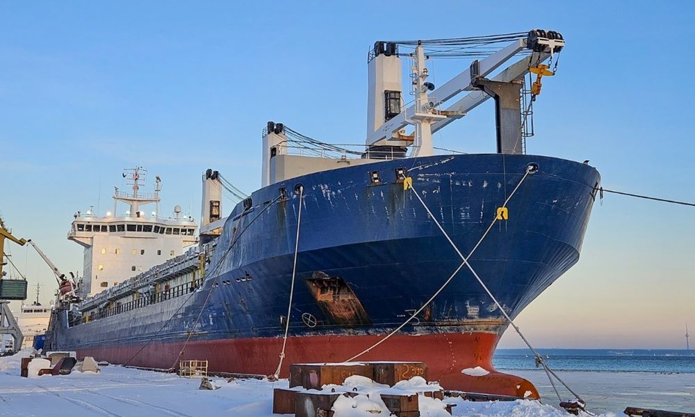 ESL plugs bulker capacity gap with secondhand buy ahead of