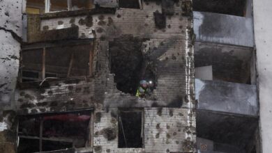 IAEA negotiates ceasefire at nuclear plant in Ukraine