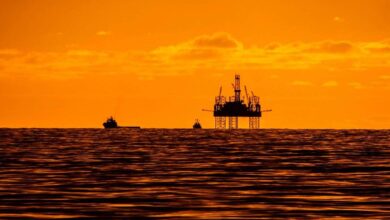 Jonathan Wills considers the Scottish Greens campaign and