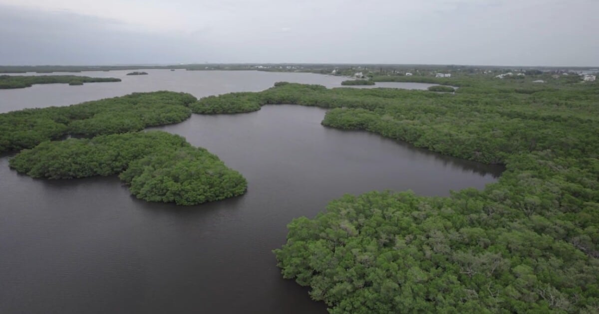 Opposition grows against proposed Terra Ceia cruise ship terminal