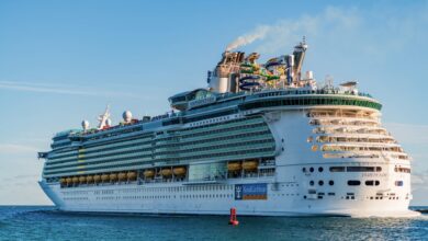 Royal Caribbean faces backlash after video reveals troubling side of Icon of the