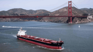Safe Bulkers Expands Fleet with New Vessels