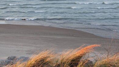 Senators Push For Great Lakes Shipbuilding to Return