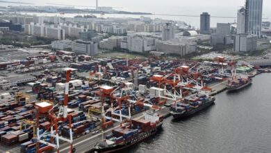 Wan Hai tightens grip on Japan routes with Osaka terminal