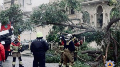 ‘Too early’ to assess Storm Harry claims’ impact, Insurance Association says