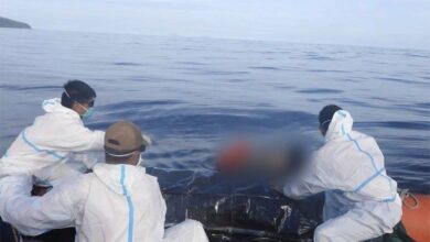 Another body recovered from Trisha Kerstin 3
