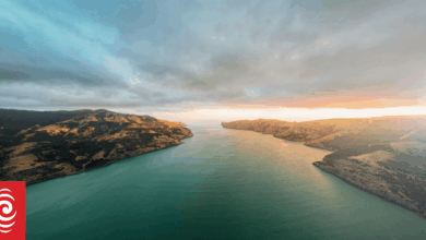 Appeal for witnesses as recovery of tourist boat grounded in Akaroa begins