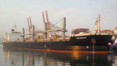 Costamare Bulkers swaps ageing tonnage for modern Japanese