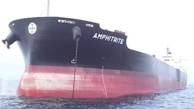 Diana locks in higher rates in Cobelfret charter extension