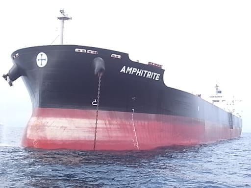 Diana locks in higher rates in Cobelfret charter extension