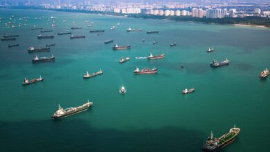 Engine Room Fire Claims Two Lives Aboard Bulk Carrier Off