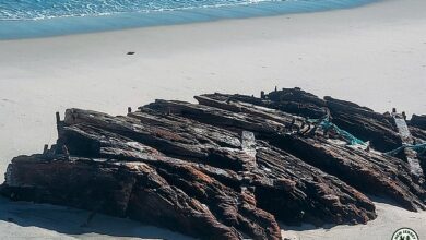 Ghost ship wreck emerges off the coast of popular beach