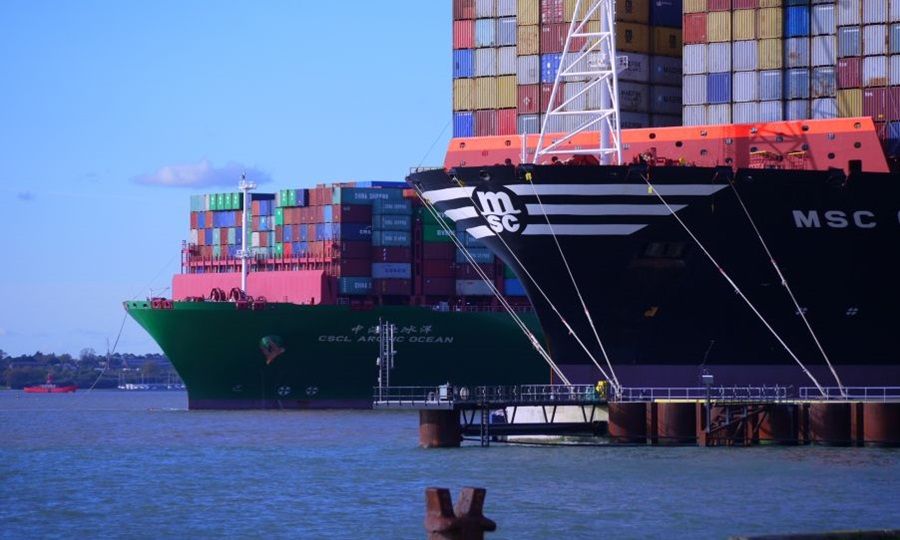 MSC tops up Jinglu orderbook with eight more 11,500 teu