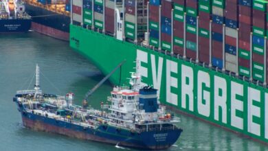 Maximizing efficiency to minimize shipping costs