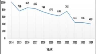 Pakistan’s Shipbreaking Industry: from scrap to strength