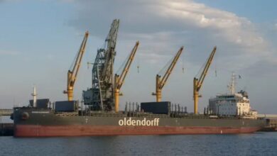 Record year for seaborne grains with freight boost into 2026