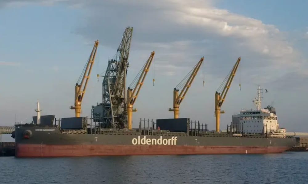 Record year for seaborne grains with freight boost into 2026