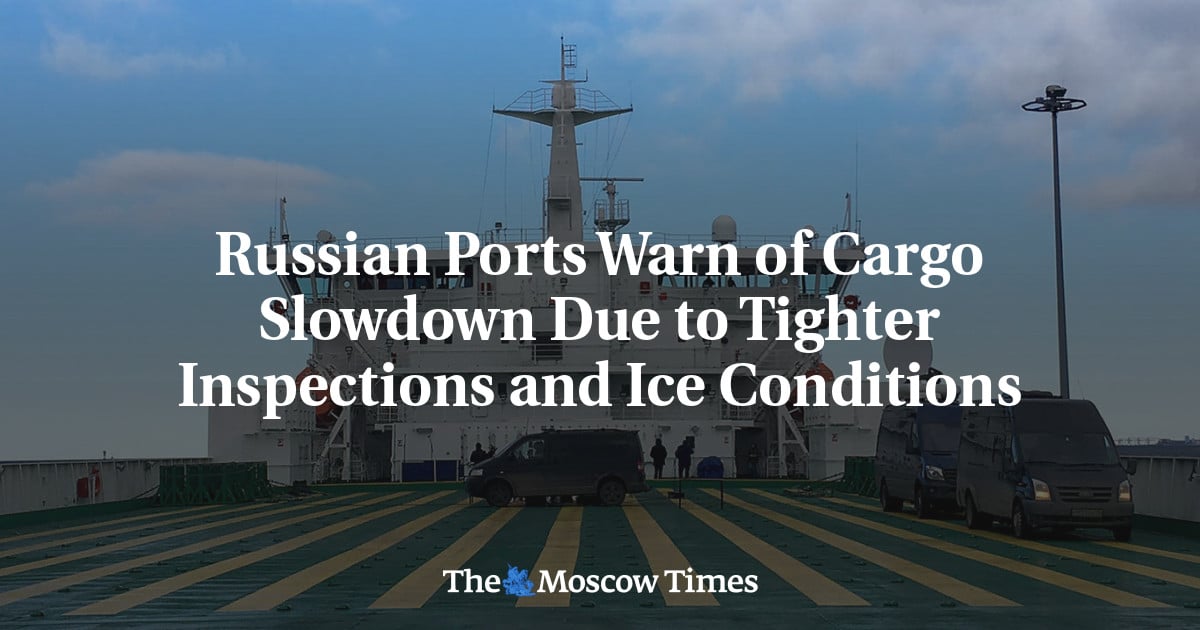Russian Ports Warn of Cargo Slowdown Due to Tighter