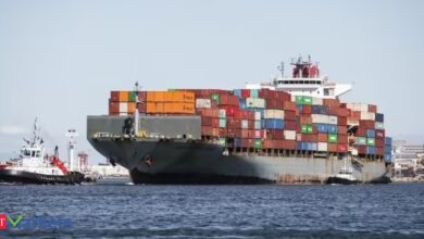 Shipping Corp shares rocket 14% after Q3 profit balloons