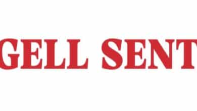 Small-ship cruise line pursues its own dock in Petersburg, similar to Wrangell