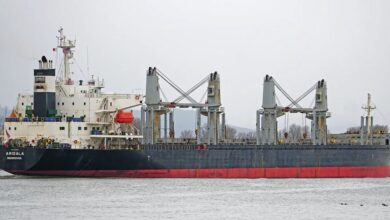 Tufton Assets backs bulker call with $33m handysize double