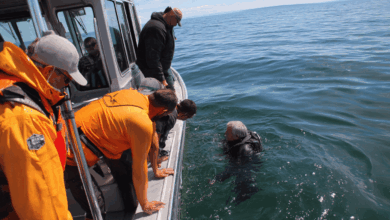 Urgent Warning: Immersion Suit Defects Threaten Lives