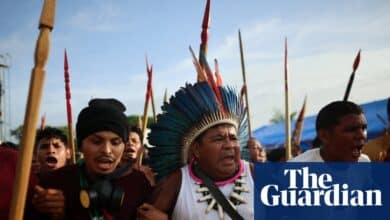 ‘The river won’: how campaigners in Brazilian Amazon stopped