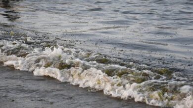 Mexico Oil Spill Reveals Persistent Transparency Issues in Latin America