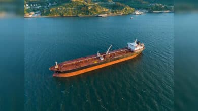 39 Indian Ships Stranded in Hormuz Amid Escalating Iran