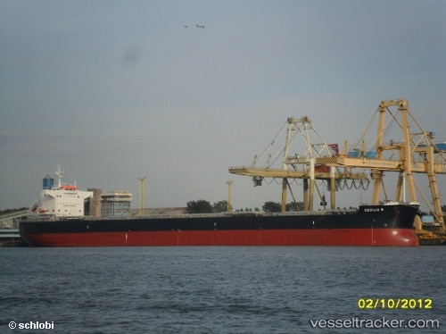 Bulk Carrier Attacked Near Chornomorsk, Crew Injured