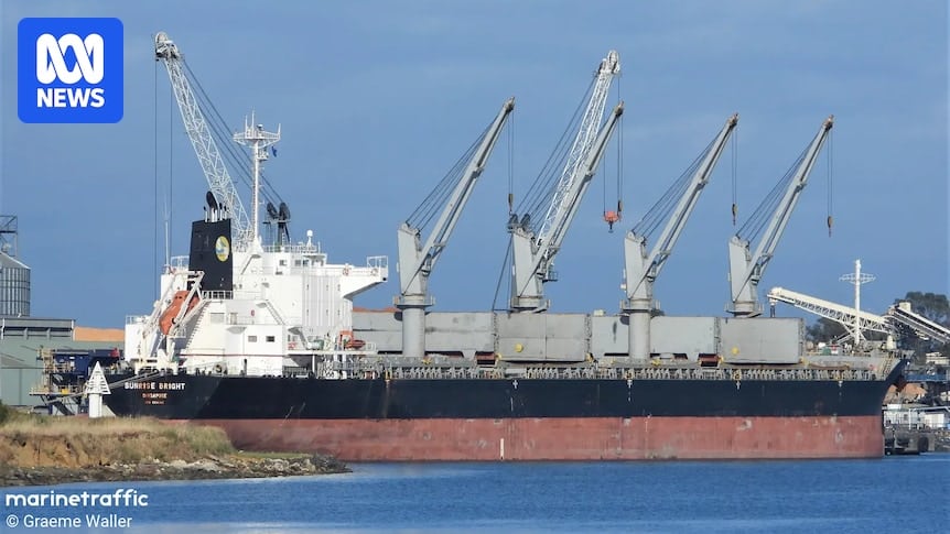 Bulk carrier that escaped Iranian blockade of Strait of